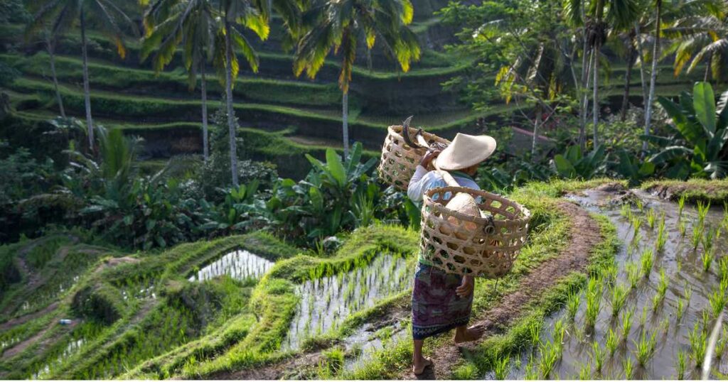 Quiet Corners of Ubud
